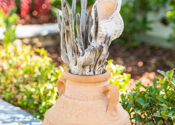 Reisis Family Lefkos (Karpathos)